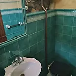 Rio Da Cruz Cariño